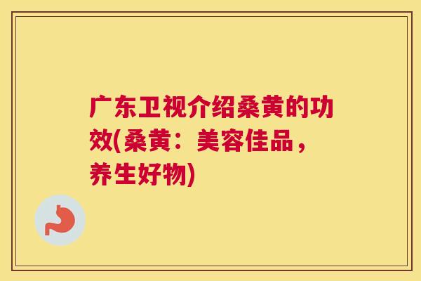 广东卫视介绍桑黄的功效(桑黄:美容佳品,养生好物) 广东卫视介绍桑黄的功效(桑黄:美容佳品,养生好物)
