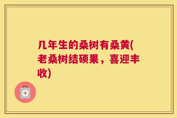 几年生的桑树有桑黄(老桑树结硕果，喜迎丰收)