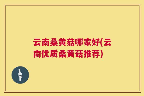 云南桑黄菇哪家好(云南优质桑黄菇推荐) 云南桑黄菇哪家好(云南优质桑黄菇推荐)