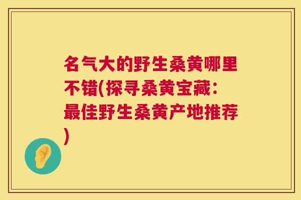 名气大的野生桑黄哪里不错(探寻桑黄宝藏:佳野生桑黄产地推荐) 名气大的野生桑黄哪里不错(探寻桑黄宝藏:佳野生桑黄产地推荐)