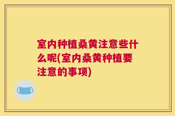 室内种植桑黄注意些什么呢(室内桑黄种植要注意的事项) 室内种植桑黄注意些什么呢(室内桑黄种植要注意的事项)