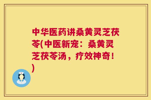 中华医药讲桑黄灵芝茯苓(中医新宠:桑黄灵芝茯苓汤,疗效神奇!) 中华医药讲桑黄灵芝茯苓(中医新宠:桑黄灵芝茯苓汤,疗效神奇!)