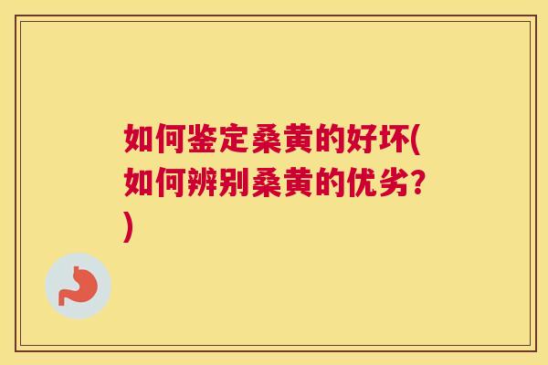 如何鉴定桑黄的好坏(如何辨别桑黄的优劣?) 如何鉴定桑黄的好坏(如何辨别桑黄的优劣?)