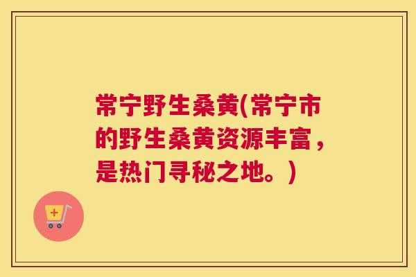 常宁野生桑黄(常宁市的野生桑黄资源丰富,是热门寻秘之地。) 常宁野生桑黄(常宁市的野生桑黄资源丰富,是热门寻秘之地。)