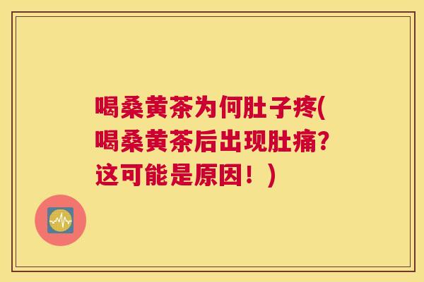 喝桑黄茶为何肚子疼(喝桑黄茶后出现肚痛?这可能是原因!) 喝桑黄茶为何肚子疼(喝桑黄茶后出现肚痛?这可能是原因!)