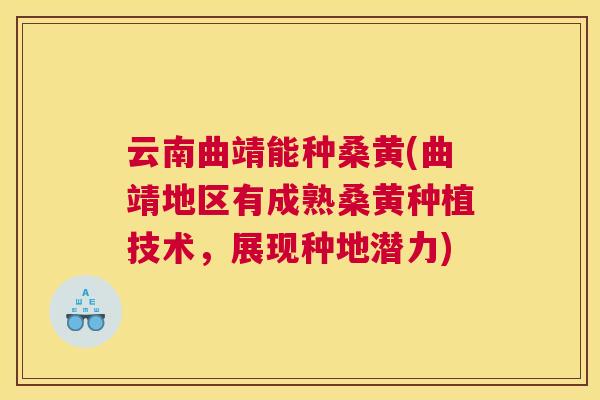 云南曲靖能种桑黄(曲靖地区有成熟桑黄种植技术,展现种地潜力) 云南曲靖能种桑黄(曲靖地区有成熟桑黄种植技术,展现种地潜力)