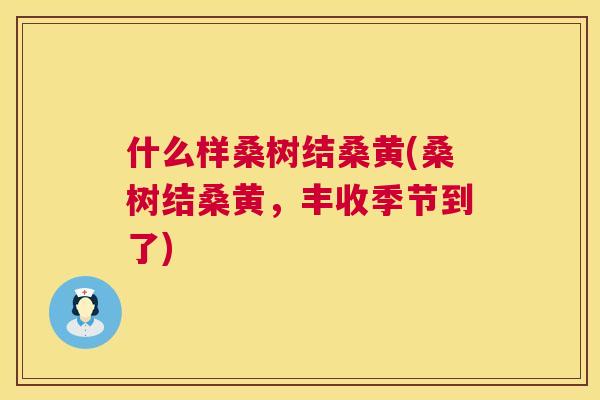 什么样桑树结桑黄(桑树结桑黄,丰收季节到了) 什么样桑树结桑黄(桑树结桑黄,丰收季节到了)