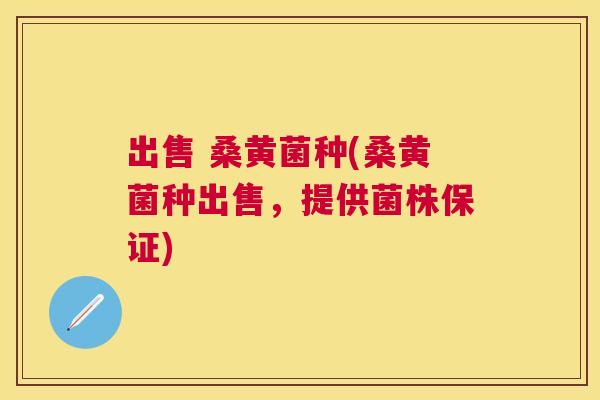 出售 桑黄菌种(桑黄菌种出售,提供菌株保证) 出售 桑黄菌种(桑黄菌种出售,提供菌株保证)