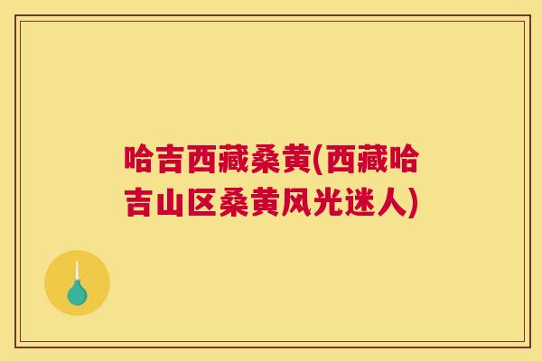 哈吉西藏桑黄(西藏哈吉山区桑黄风光迷人) 哈吉西藏桑黄(西藏哈吉山区桑黄风光迷人)