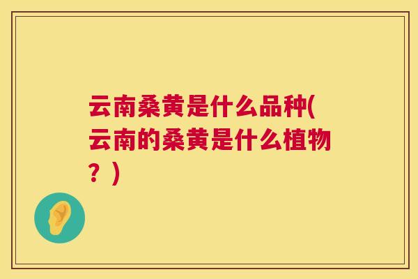 云南桑黄是什么品种(云南的桑黄是什么植物?) 云南桑黄是什么品种(云南的桑黄是什么植物?)