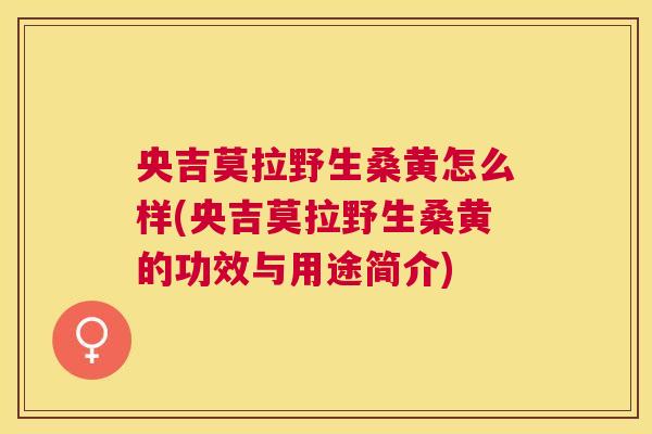 央吉莫拉野生桑黄怎么样(央吉莫拉野生桑黄的功效与用途简介) 央吉莫拉野生桑黄怎么样(央吉莫拉野生桑黄的功效与用途简介)