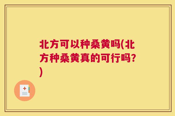 北方可以种桑黄吗(北方种桑黄真的可行吗?) 北方可以种桑黄吗(北方种桑黄真的可行吗?)