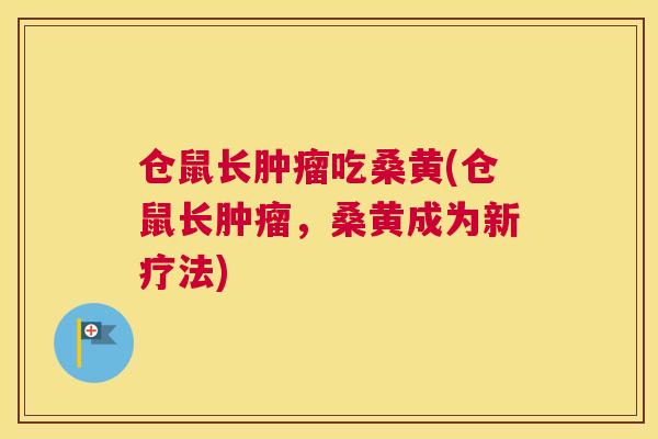 仓鼠长吃桑黄(仓鼠长,桑黄成为新疗法) 仓鼠长吃桑黄(仓鼠长,桑黄成为新疗法)