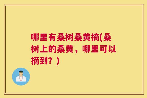 哪里有桑树桑黄摘(桑树上的桑黄,哪里可以摘到?) 哪里有桑树桑黄摘(桑树上的桑黄,哪里可以摘到?)