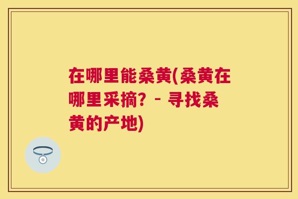 在哪里能桑黄(桑黄在哪里采摘?- 寻找桑黄的产地) 在哪里能桑黄(桑黄在哪里采摘?- 寻找桑黄的产地)