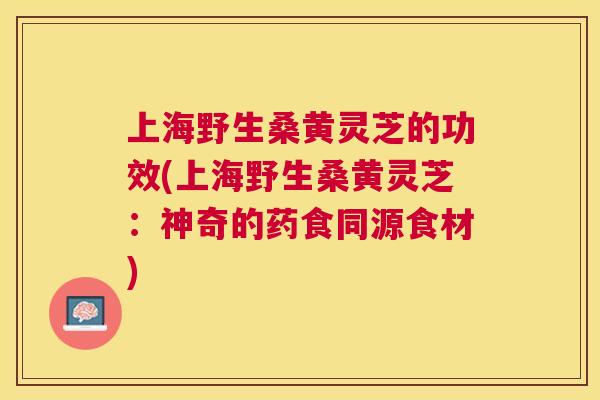 上海野生桑黄灵芝的功效(上海野生桑黄灵芝:神奇的药食同源食材) 上海野生桑黄灵芝的功效(上海野生桑黄灵芝:神奇的药食同源食材)