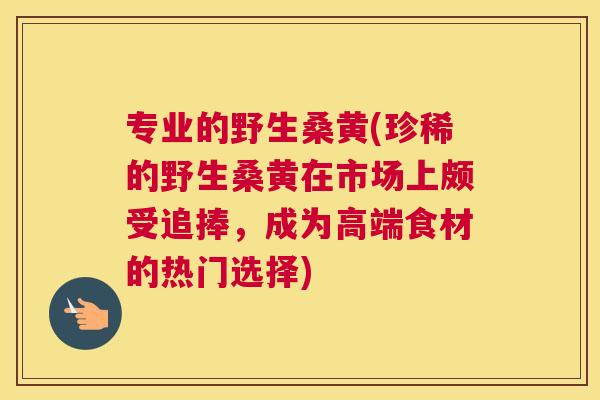 专业的野生桑黄(珍稀的野生桑黄在市场上颇受追捧,成为高端食材的热门选择) 专业的野生桑黄(珍稀的野生桑黄在市场上颇受追捧,成为高端食材的热门选择)