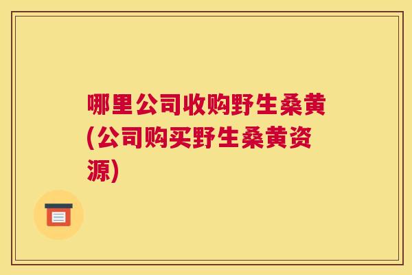 哪里公司收购野生桑黄(公司购买野生桑黄资源) 哪里公司收购野生桑黄(公司购买野生桑黄资源)