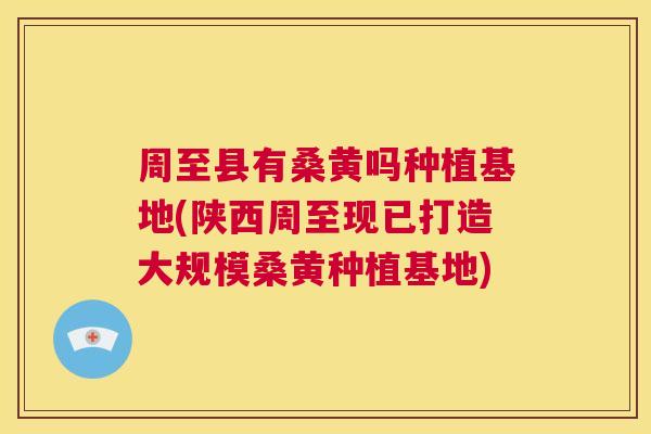 周至县有桑黄吗种植基地(陕西周至现已打造大规模桑黄种植基地) 周至县有桑黄吗种植基地(陕西周至现已打造大规模桑黄种植基地)