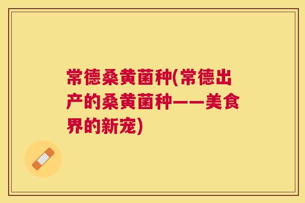 常德桑黄菌种(常德出产的桑黄菌种——美食界的新宠) 常德桑黄菌种(常德出产的桑黄菌种——美食界的新宠)