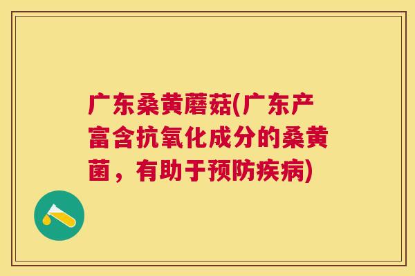 广东桑黄蘑菇(广东产富含成分的桑黄菌,有助于) 广东桑黄蘑菇(广东产富含成分的桑黄菌,有助于)