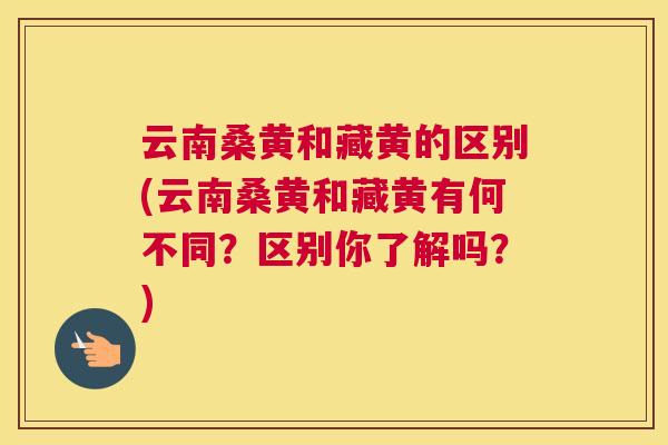 云南桑黄和藏黄的区别(云南桑黄和藏黄有何不同?区别你了解吗?) 云南桑黄和藏黄的区别(云南桑黄和藏黄有何不同?区别你了解吗?)