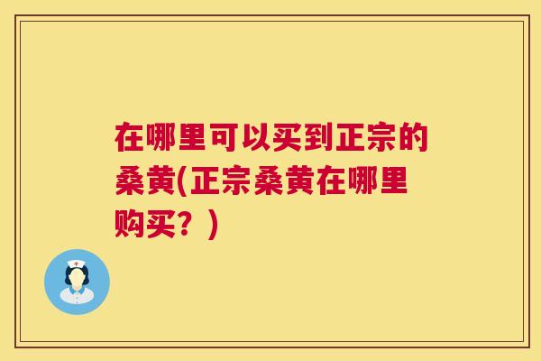 在哪里可以买到正宗的桑黄(正宗桑黄在哪里购买?) 在哪里可以买到正宗的桑黄(正宗桑黄在哪里购买?)