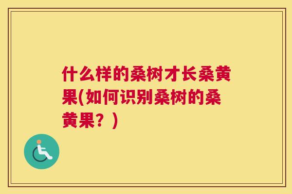 什么样的桑树才长桑黄果(如何识别桑树的桑黄果?) 什么样的桑树才长桑黄果(如何识别桑树的桑黄果?)