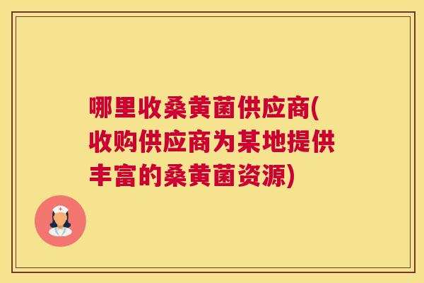 哪里收桑黄菌供应商(收购供应商为某地提供丰富的桑黄菌资源) 哪里收桑黄菌供应商(收购供应商为某地提供丰富的桑黄菌资源)