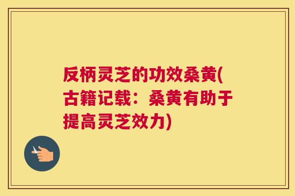 反柄灵芝的功效桑黄(古籍记载:桑黄有助于提高灵芝效力) 反柄灵芝的功效桑黄(古籍记载:桑黄有助于提高灵芝效力)