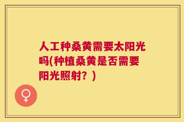 人工种桑黄需要太阳光吗(种植桑黄是否需要阳光照射？)