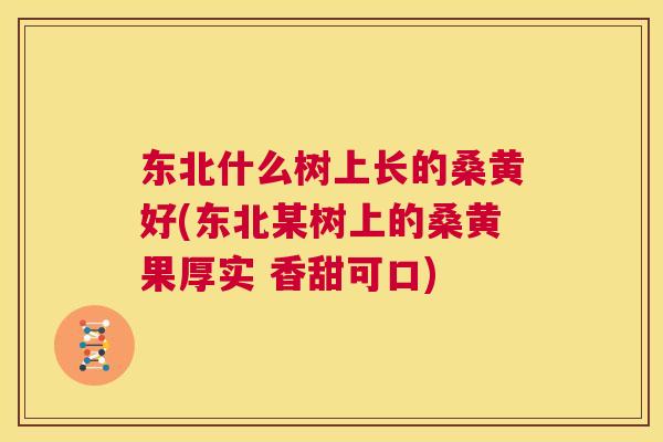 东北什么树上长的桑黄好(东北某树上的桑黄果厚实 香甜可口) 东北什么树上长的桑黄好(东北某树上的桑黄果厚实 香甜可口)