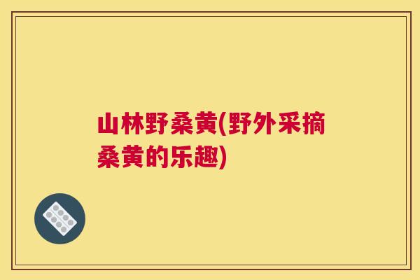 山林野桑黄(野外采摘桑黄的乐趣) 山林野桑黄(野外采摘桑黄的乐趣)