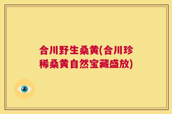 合川野生桑黄(合川珍稀桑黄自然宝藏盛放) 合川野生桑黄(合川珍稀桑黄自然宝藏盛放)