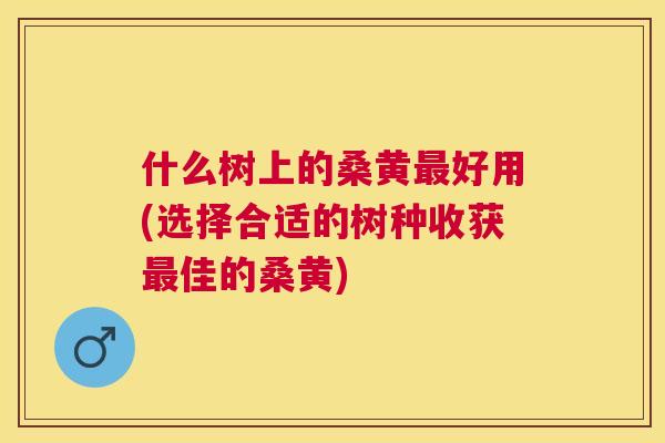 什么树上的桑黄好用(选择合适的树种收获佳的桑黄) 什么树上的桑黄好用(选择合适的树种收获佳的桑黄)