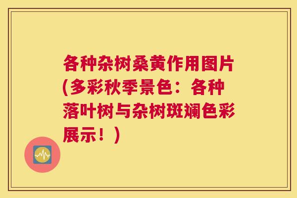 各种杂树桑黄作用图片(多彩秋季景色:各种落叶树与杂树斑斓色彩展示!) 各种杂树桑黄作用图片(多彩秋季景色:各种落叶树与杂树斑斓色彩展示!)
