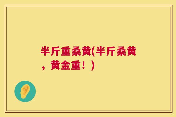 半斤重桑黄(半斤桑黄,黄金重!) 半斤重桑黄(半斤桑黄,黄金重!)
