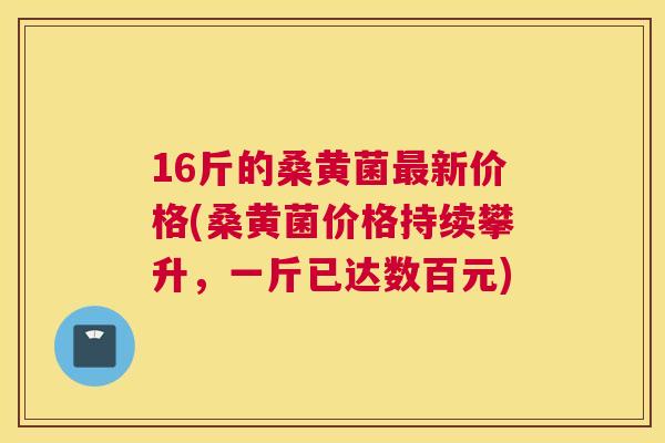 16斤的桑黄菌新价格(桑黄菌价格持续攀升,一斤已达数百元) 16斤的桑黄菌新价格(桑黄菌价格持续攀升,一斤已达数百元)