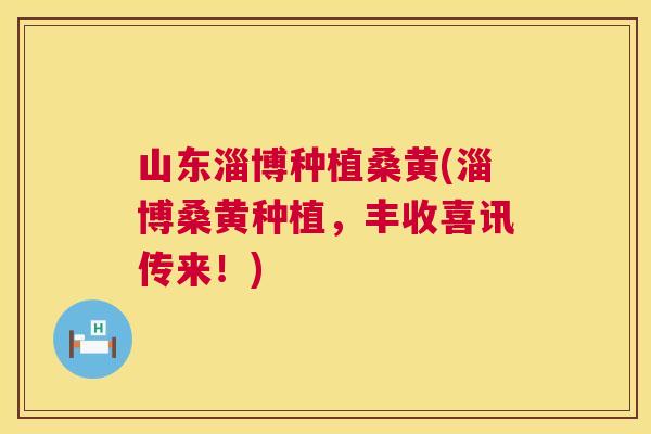 山东淄博种植桑黄(淄博桑黄种植,丰收喜讯传来!) 山东淄博种植桑黄(淄博桑黄种植,丰收喜讯传来!)