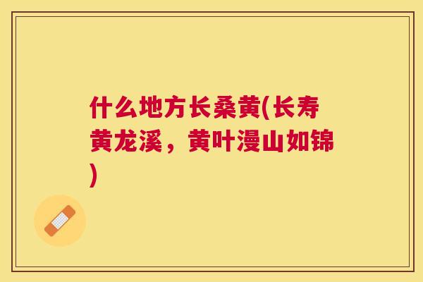 什么地方长桑黄(长寿黄龙溪,黄叶漫山如锦) 什么地方长桑黄(长寿黄龙溪,黄叶漫山如锦)