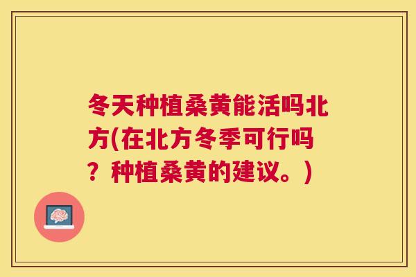 冬天种植桑黄能活吗北方(在北方冬季可行吗?种植桑黄的建议。) 冬天种植桑黄能活吗北方(在北方冬季可行吗?种植桑黄的建议。)