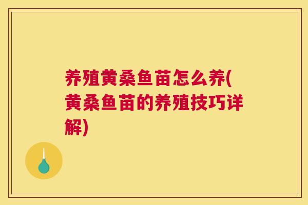 养殖黄桑鱼苗怎么养(黄桑鱼苗的养殖技巧详解) 养殖黄桑鱼苗怎么养(黄桑鱼苗的养殖技巧详解)