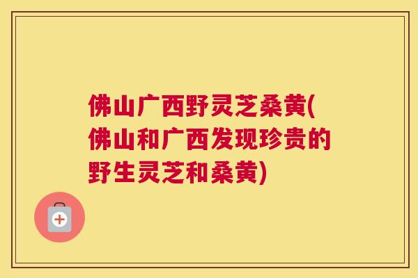 佛山广西野灵芝桑黄(佛山和广西发现珍贵的野生灵芝和桑黄) 佛山广西野灵芝桑黄(佛山和广西发现珍贵的野生灵芝和桑黄)