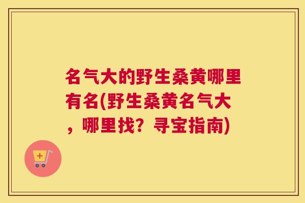 名气大的野生桑黄哪里有名(野生桑黄名气大,哪里找?寻宝指南) 名气大的野生桑黄哪里有名(野生桑黄名气大,哪里找?寻宝指南)