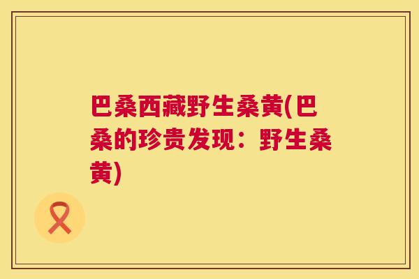 巴桑西藏野生桑黄(巴桑的珍贵发现:野生桑黄) 巴桑西藏野生桑黄(巴桑的珍贵发现:野生桑黄)