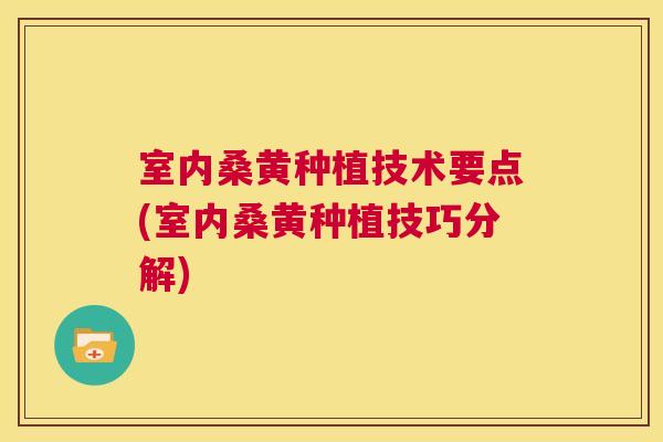 室内桑黄种植技术要点(室内桑黄种植技巧分解)