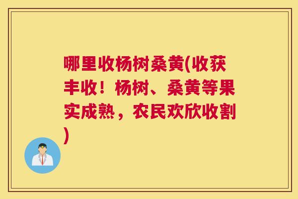 哪里收杨树桑黄(收获丰收!杨树、桑黄等果实成熟,农民欢欣收割) 哪里收杨树桑黄(收获丰收!杨树、桑黄等果实成熟,农民欢欣收割)