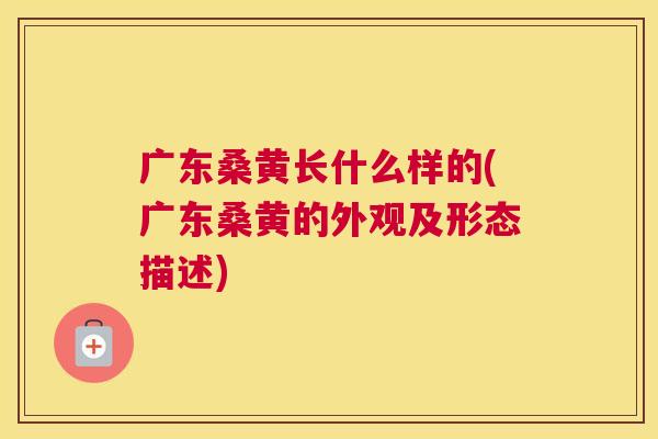 广东桑黄长什么样的(广东桑黄的外观及形态描述) 广东桑黄长什么样的(广东桑黄的外观及形态描述)