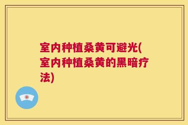 室内种植桑黄可避光(室内种植桑黄的黑暗疗法) 室内种植桑黄可避光(室内种植桑黄的黑暗疗法)