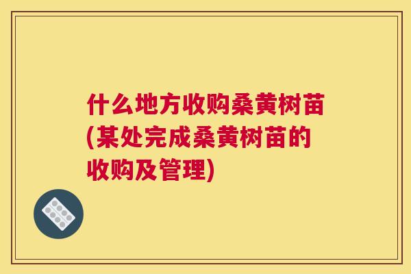 什么地方收购桑黄树苗(某处完成桑黄树苗的收购及管理) 什么地方收购桑黄树苗(某处完成桑黄树苗的收购及管理)